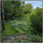 AUCTION ITEM:ph1018M066t.jpg