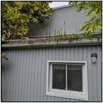 AUCTION ITEM:ph1018M067t.jpg