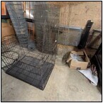 AUCTION ITEM:ph1024M044t.jpg