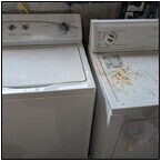AUCTION ITEM:ph1024M048t.jpg