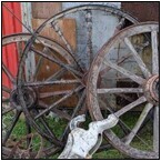 AUCTION ITEM:ph1026M009t.jpg