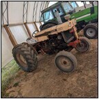 AUCTION ITEM:ph1031M019t.jpg