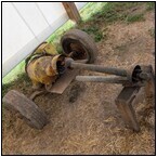 AUCTION ITEM:ph1031M028t.jpg