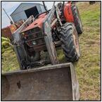 AUCTION ITEM:ph1031M038t.jpg