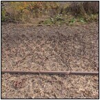 AUCTION ITEM:ph1031M047t.jpg