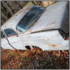 AUCTION ITEM:ph1115M010t.jpg