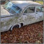 AUCTION ITEM:ph1115M011t.jpg