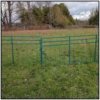 AUCTION ITEM:ph1115M033t.jpg