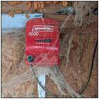 AUCTION ITEM:ph1115M035t.jpg