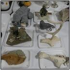 AUCTION ITEM:pm0107M058t.jpg