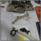 AUCTION ITEM:pm0107M059t.jpg