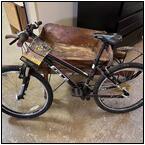 AUCTION ITEM:pm0128M130t.jpg