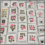 AUCTION ITEM:pm0325M053t.jpg