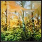 AUCTION ITEM:pm0415M026t.jpg