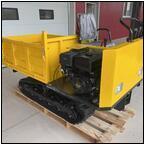 AUCTION ITEM:pm0624M010t.jpg