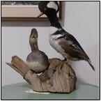 AUCTION ITEM:pm0630M039t.jpg