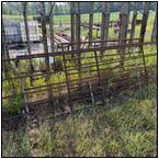 AUCTION ITEM:pm1001M021t.jpg