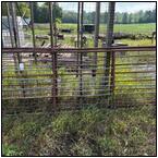 AUCTION ITEM:pm1001M022t.jpg