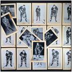 AUCTION ITEM:pm1005M037t.jpg