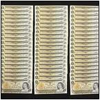 AUCTION ITEM:pm1026M010t.jpg