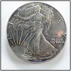 AUCTION ITEM:pm1026M015t.jpg