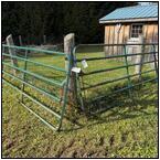 AUCTION ITEM:pm1119M007t.jpg