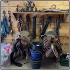 AUCTION ITEM:pm1119M042t.jpg