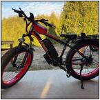 AUCTION ITEM:pm1119M055t.jpg