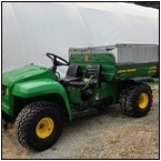 AUCTION ITEM:rb0802M006t.jpg