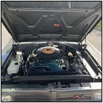 AUCTION ITEM:rb1005M036t.jpg