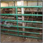 AUCTION ITEM:rf0611M001t.jpg