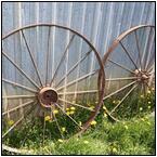 AUCTION ITEM:rf0611M005t.jpg