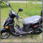 AUCTION ITEM:rf0717M015t.jpg