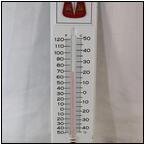 AUCTION ITEM:rf1127M012t.jpg