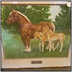 AUCTION ITEM:se0827M015t.jpg