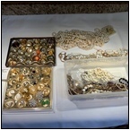 AUCTION ITEM:se1005M017t.jpg