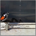 AUCTION ITEM:se1030M003t.jpg