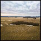 AUCTION ITEM:sk0217M003t.jpg