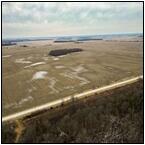 AUCTION ITEM:sk0217M004t.jpg