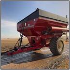 AUCTION ITEM:sk0218M010t.jpg