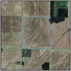 AUCTION ITEM:sk0219M001t.jpg