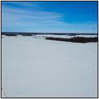 AUCTION ITEM:sk0219M002t.jpg