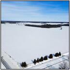 AUCTION ITEM:sk0219M003t.jpg