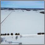 AUCTION ITEM:sk0219M004t.jpg