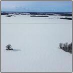 AUCTION ITEM:sk0219M005t.jpg