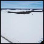 AUCTION ITEM:sk0219M007t.jpg