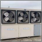 AUCTION ITEM:sk0415M007t.jpg