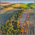 AUCTION ITEM:sk0420M004t.jpg