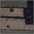 AUCTION ITEM:sk0514M001t.jpg