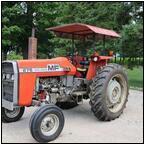 AUCTION ITEM:sk0929M005t.jpg